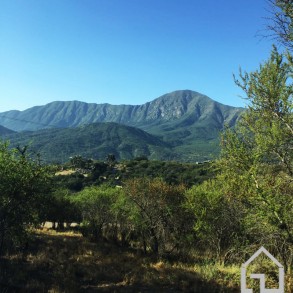 Venta: Terreno en Oasis de la Campana