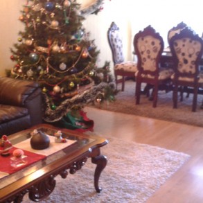 Arriendo: Dpto en Viña del Mar