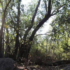 Venta: Parcela en Oasis de la Campana