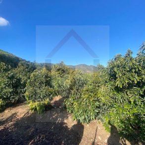 Venta: Parcela en Pocochay