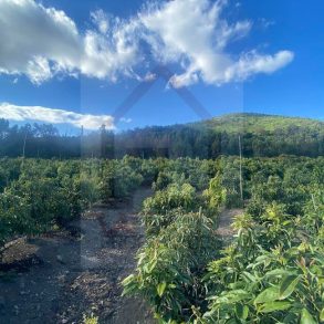 Venta: Parcela en Pocochay