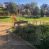 Arriendo: Casa en Viña del Mar