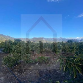 Venta: Parcela en Pocochay