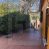 Arriendo: Casa en Viña del Mar