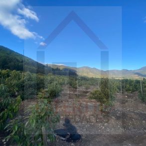 Venta: Parcela en Pocochay