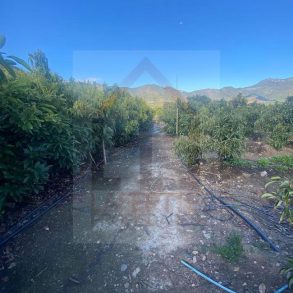 Venta: Parcela en Pocochay
