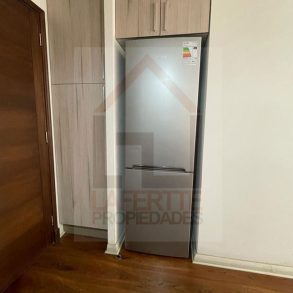 Arriendo: Dpto en Viña del Mar