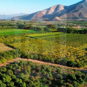 Venta: Terreno Agrícola