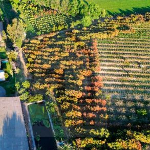 Venta: Terreno Agrícola