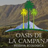 Venta: Terreno en Oasis de la Campana