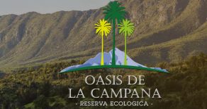 Venta: Terreno en Oasis de la Campana