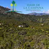 Venta: Parcela en Oasis de la Campana