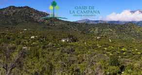 Venta: Parcela en Oasis de la Campana