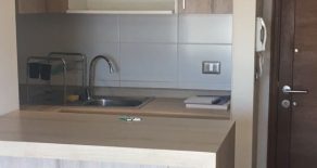 Arriendo: Dpto en Viña del Mar