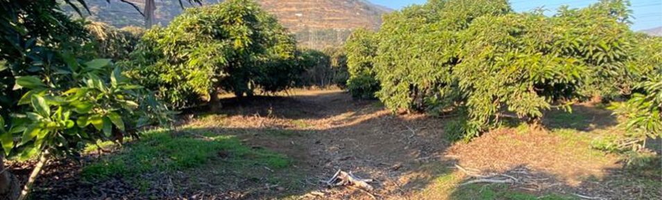 Venta: Terreno en San Pedro
