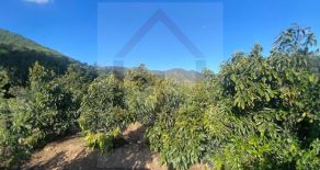 Venta: Parcela en Pocochay